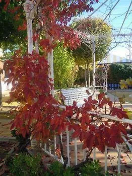 Hotel Boutique La Zubia 2*, לה זוביה ספרד